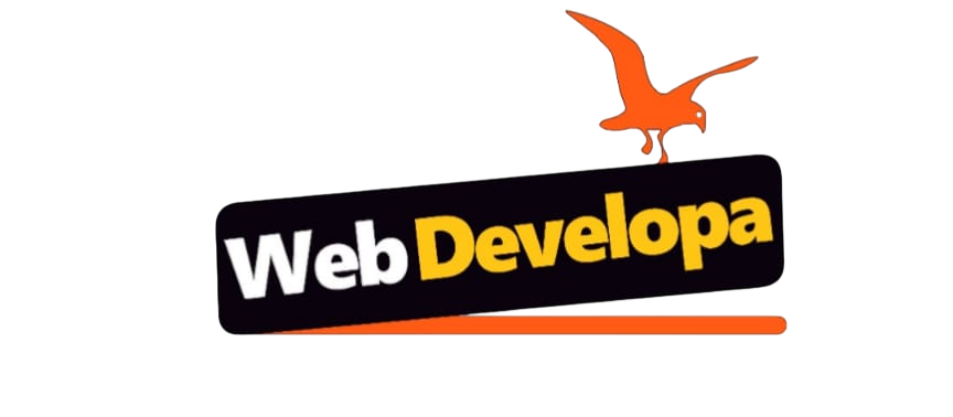 WEBDEVELOPER IN TANZANIA